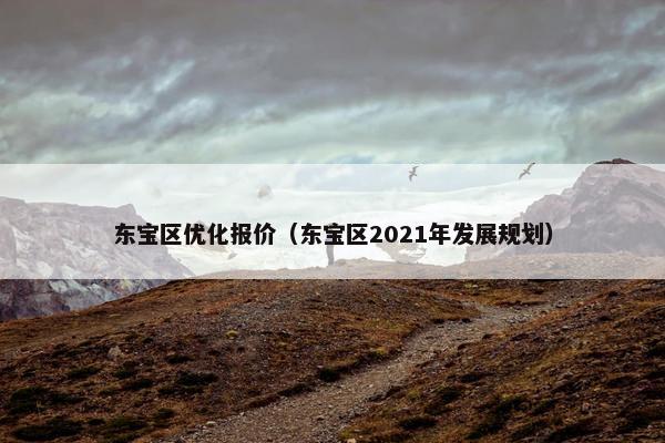 东宝区优化报价（东宝区2021年发展规划）