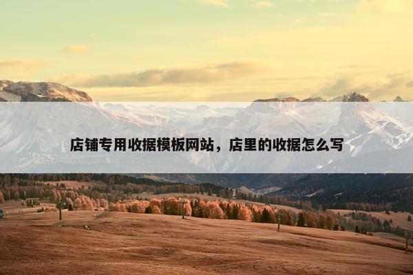 店铺专用收据模板网站，店里的收据怎么写