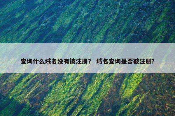 查询什么域名没有被注册？ 域名查询是否被注册？