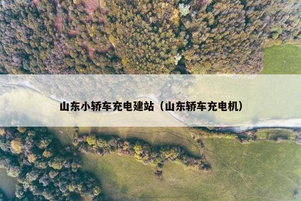 山东小轿车充电建站（山东轿车充电机）