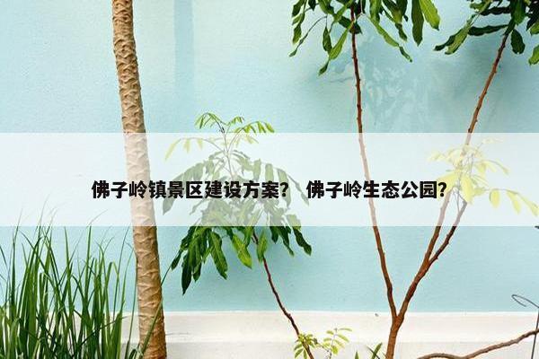 佛子岭镇景区建设方案？ 佛子岭生态公园？