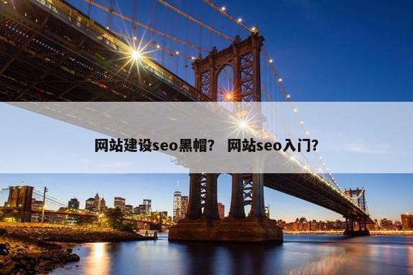 网站建设seo黑帽？ 网站seo入门？