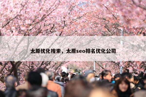 太原优化搜索，太原seo排名优化公司