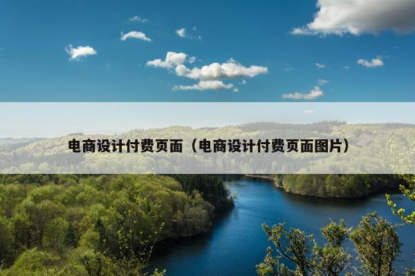 电商设计付费页面（电商设计付费页面图片）