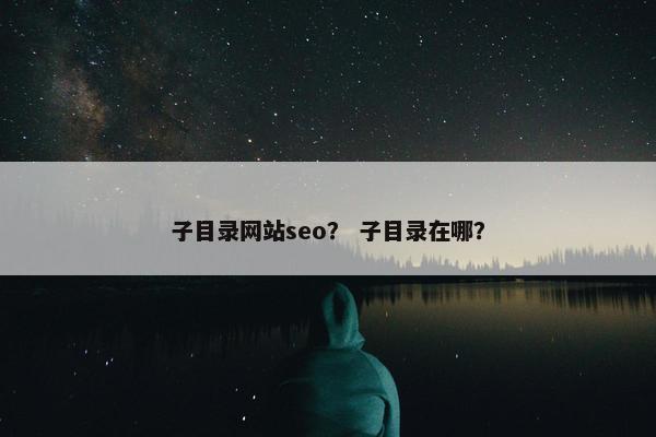 子目录网站seo？ 子目录在哪？