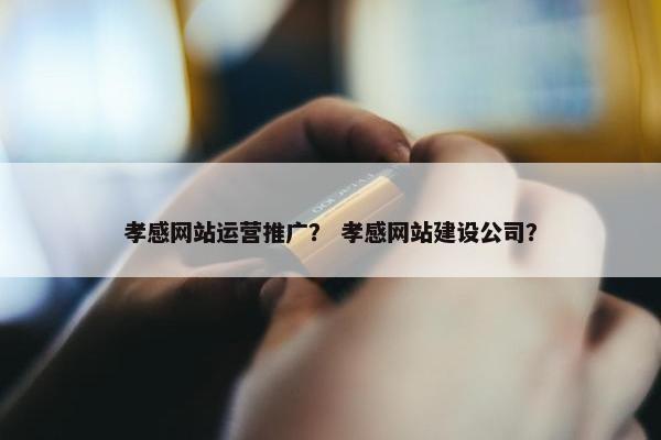 孝感网站运营推广？ 孝感网站建设公司？