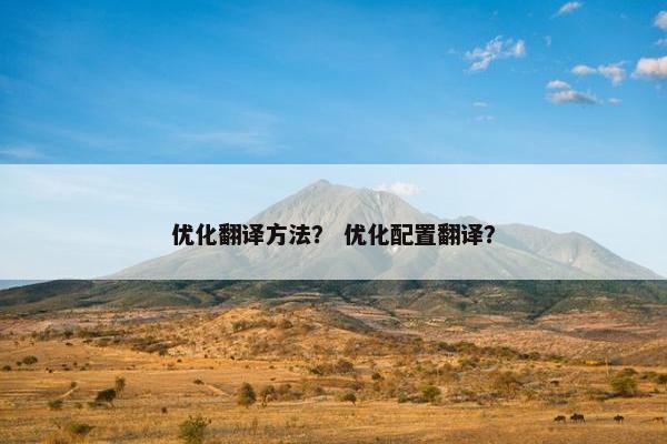 优化翻译方法？ 优化配置翻译？