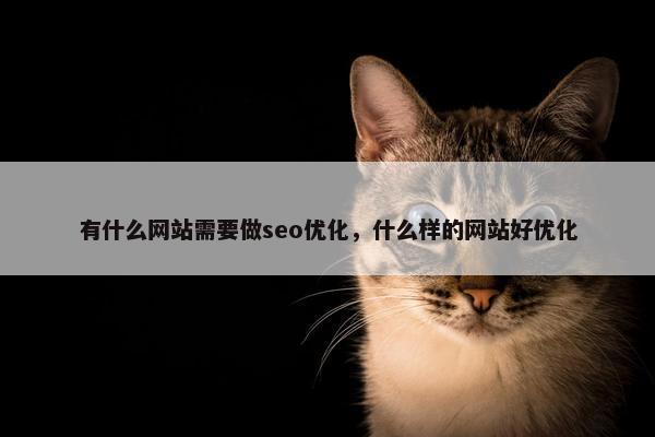 有什么网站需要做seo优化，什么样的网站好优化