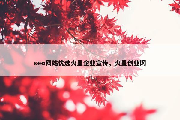 seo网站优选火星企业宣传，火星创业网