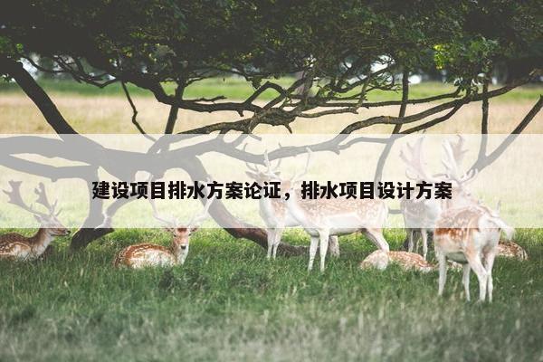 建设项目排水方案论证，排水项目设计方案