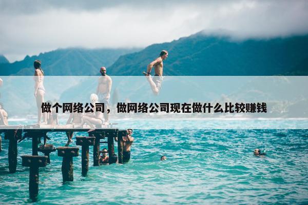 做个网络公司，做网络公司现在做什么比较赚钱