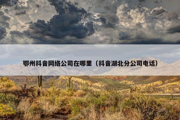 鄂州抖音网络公司在哪里（抖音湖北分公司电话）