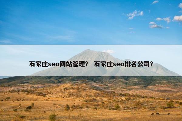 石家庄seo网站管理？ 石家庄seo排名公司？