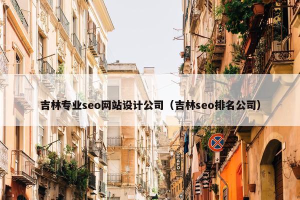 吉林专业seo网站设计公司（吉林seo排名公司）