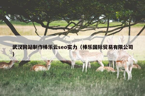 武汉网站制作棒乐云seo实力（棒乐国际贸易有限公司）