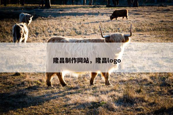 隆昌制作网站，隆昌logo
