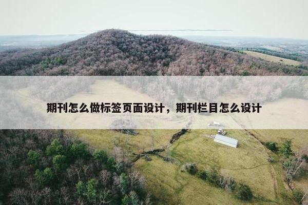 期刊怎么做标签页面设计，期刊栏目怎么设计