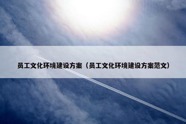 员工文化环境建设方案（员工文化环境建设方案范文）