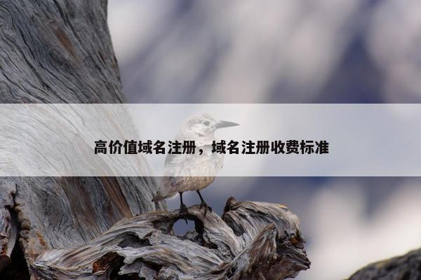 高价值域名注册，域名注册收费标准