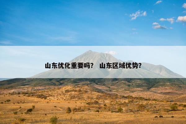 山东优化重要吗？ 山东区域优势？