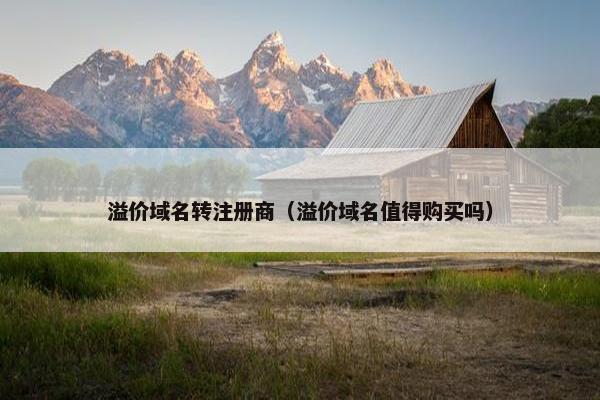 溢价域名转注册商（溢价域名值得购买吗）