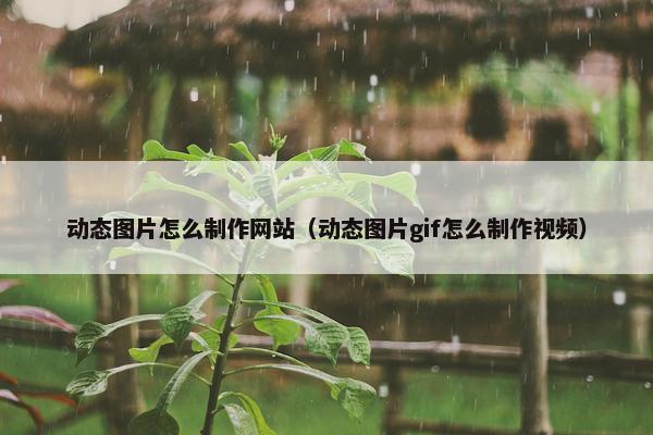 动态图片怎么制作网站（动态图片gif怎么制作视频）
