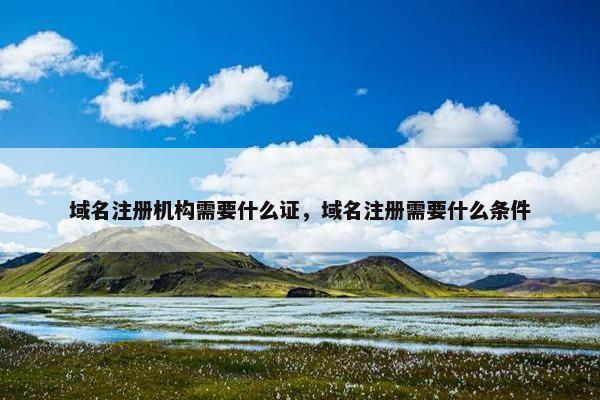域名注册机构需要什么证，域名注册需要什么条件