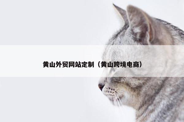 黄山外贸网站定制（黄山跨境电商）