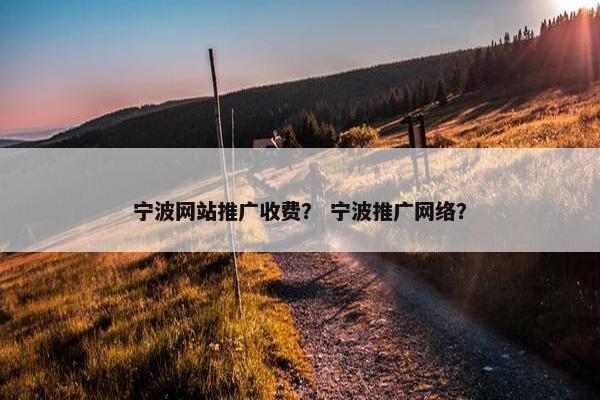 宁波网站推广收费？ 宁波推广网络？