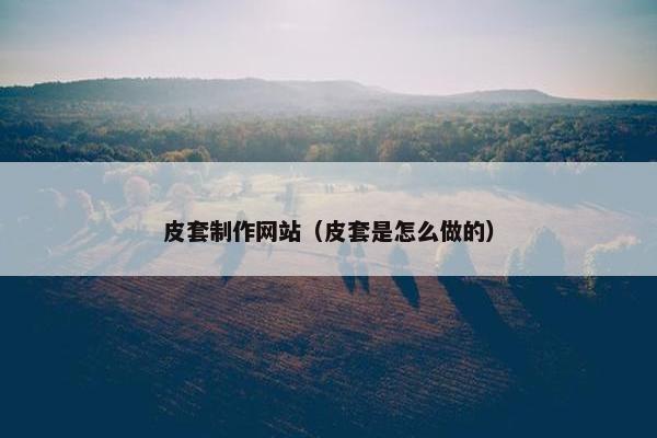 皮套制作网站（皮套是怎么做的）