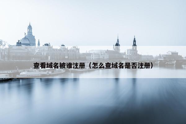 查看域名被谁注册（怎么查域名是否注册）