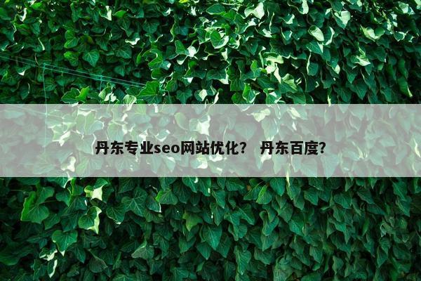 丹东专业seo网站优化？ 丹东百度？