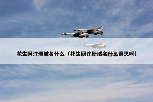 花生网注册域名什么（花生网注册域名什么意思啊）
