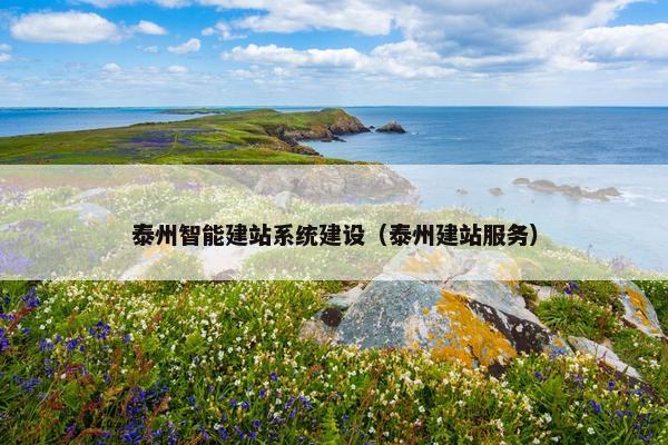 泰州智能建站系统建设（泰州建站服务）
