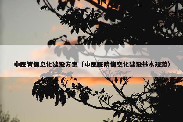 中医管信息化建设方案（中医医院信息化建设基本规范）