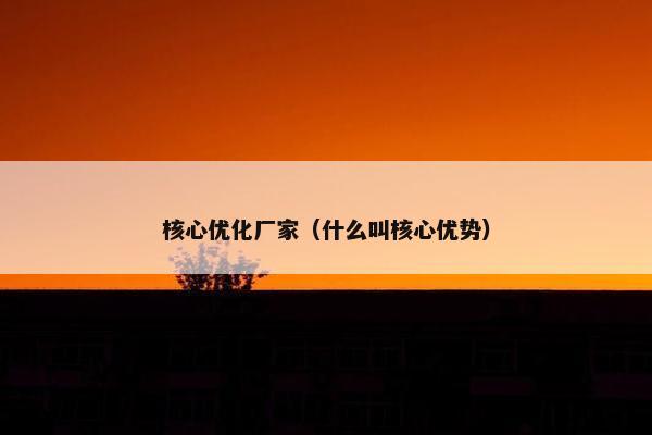 核心优化厂家（什么叫核心优势）