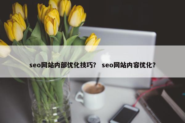 seo网站内部优化技巧？ seo网站内容优化？