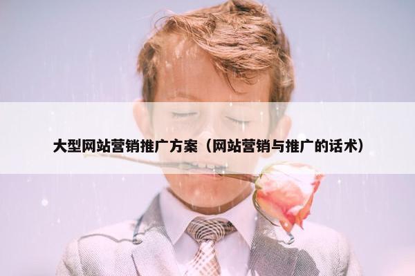 大型网站营销推广方案（网站营销与推广的话术）