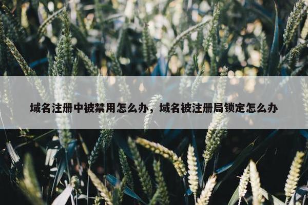域名注册中被禁用怎么办，域名被注册局锁定怎么办