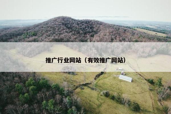 推广行业网站（有效推广网站）