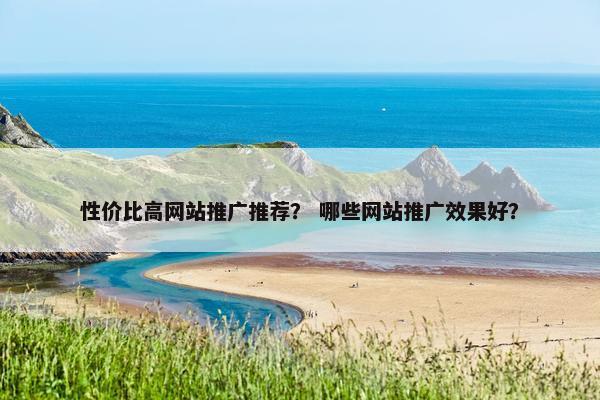 性价比高网站推广推荐？ 哪些网站推广效果好？
