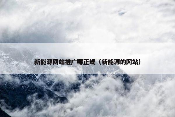 新能源网站推广哪正规（新能源的网站）