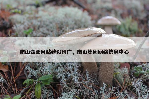 南山企业网站建设推广，南山集团网络信息中心