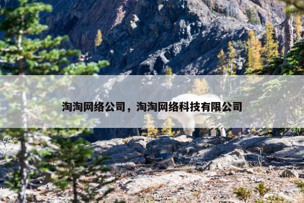 淘淘网络公司，淘淘网络科技有限公司