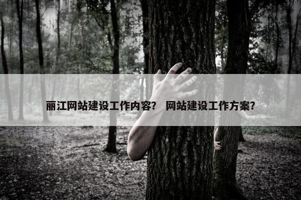 丽江网站建设工作内容？ 网站建设工作方案？