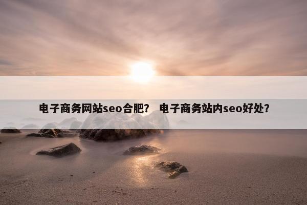 电子商务网站seo合肥？ 电子商务站内seo好处？