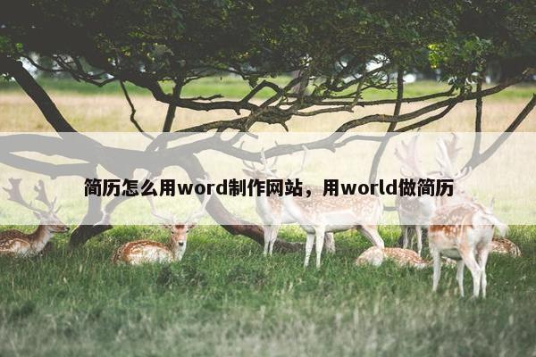 简历怎么用word制作网站，用world做简历