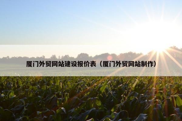 厦门外贸网站建设报价表（厦门外贸网站制作）