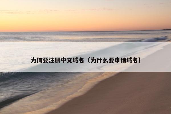 为何要注册中文域名（为什么要申请域名）