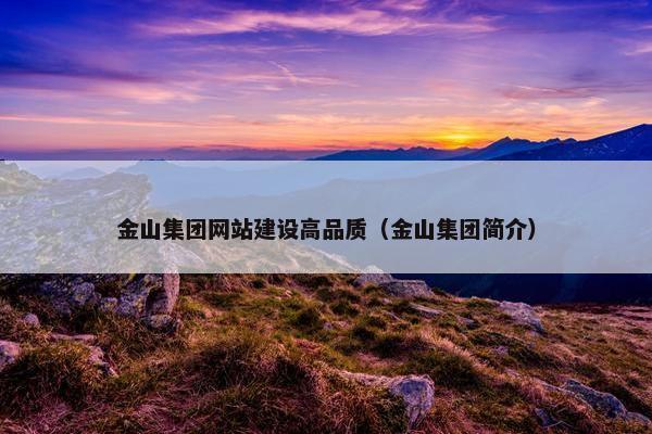 金山集团网站建设高品质（金山集团简介）